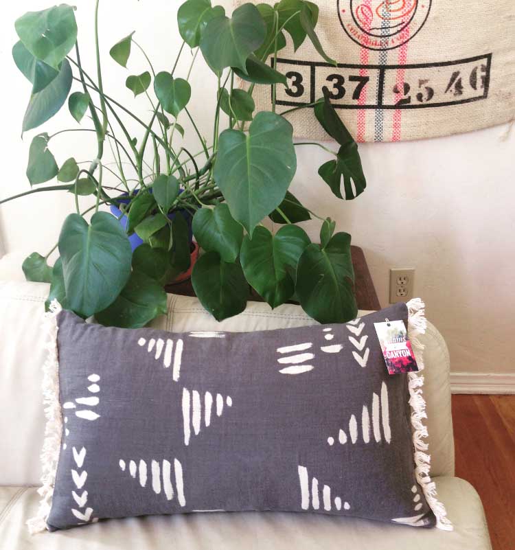 Customer Spotlight: Adams & Canyon