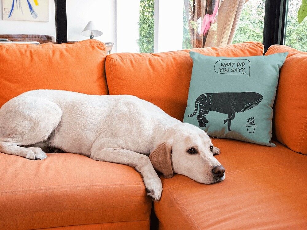 The Complete Guide to Starting a Decorative Pillow Business